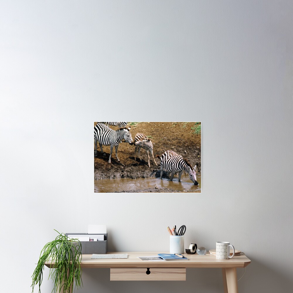 Moral support Poster