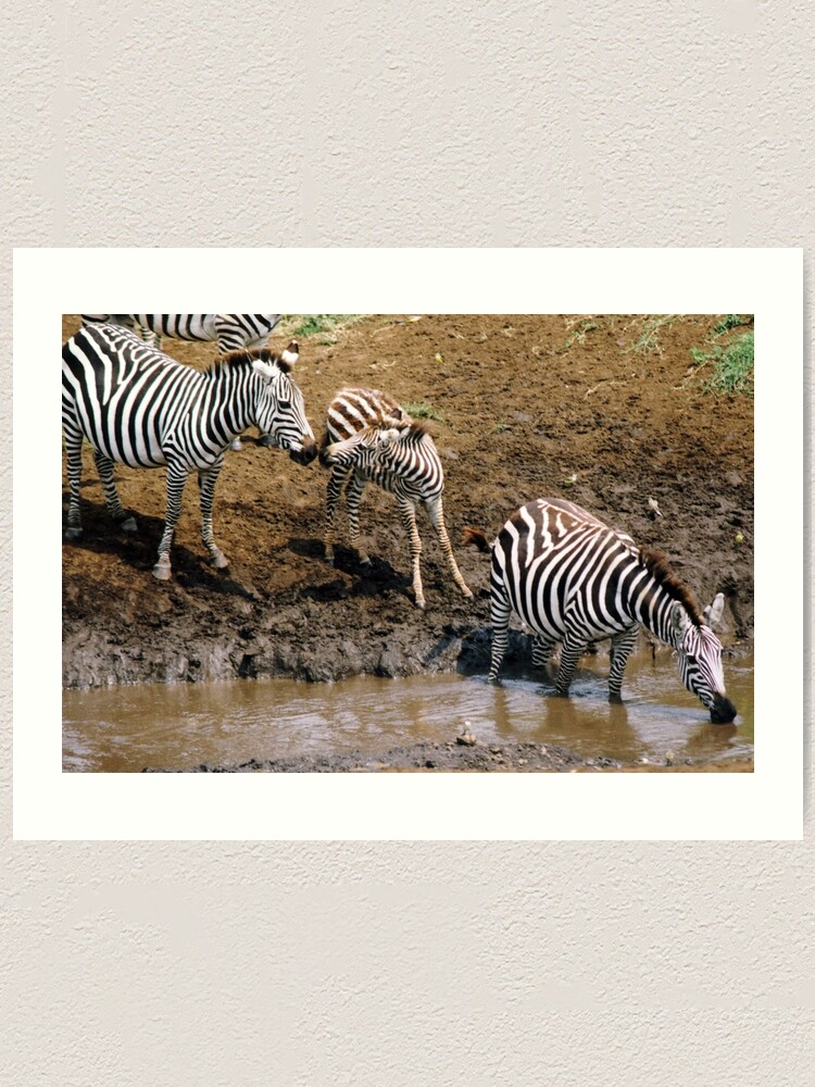 Alternate view of Moral support Art Print