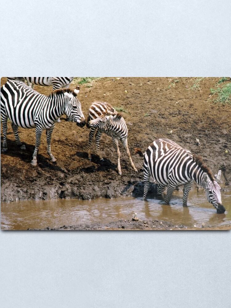 Alternate view of Moral support Metal Print