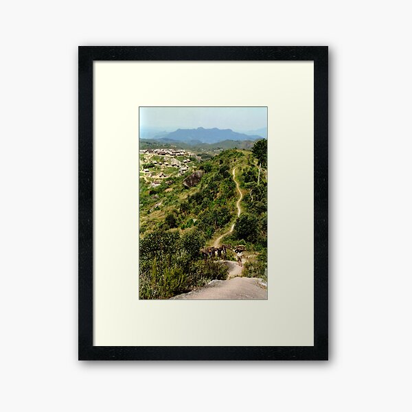 Framed Print