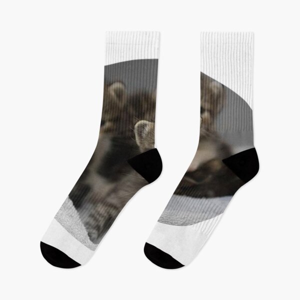 Item preview, Cute Kittens designed and sold by multicreation50.