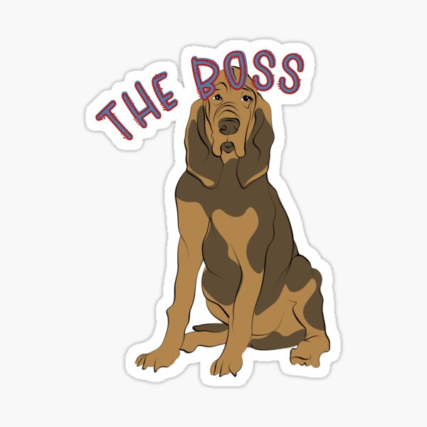 The Boss - When you have a Bloodhound, you know who it is! Sticker