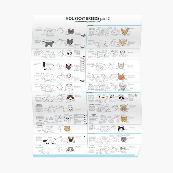 Housecat Breeds part 2 Poster