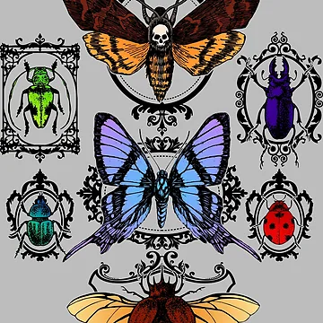 Artwork thumbnail, Gothic Insect Collection by RavenWake