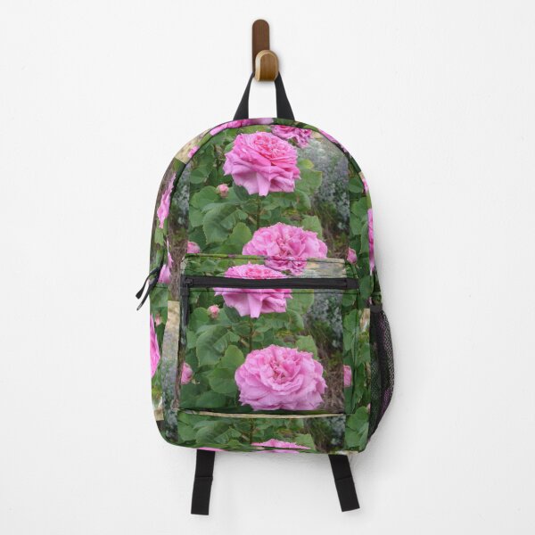 Item preview, Pink Vintage Rose Cabbage John Hopper designed and sold by Sarah Rajkotwala.
