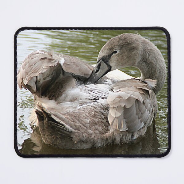 Item preview, The Preen designed and sold by Ladymoose.