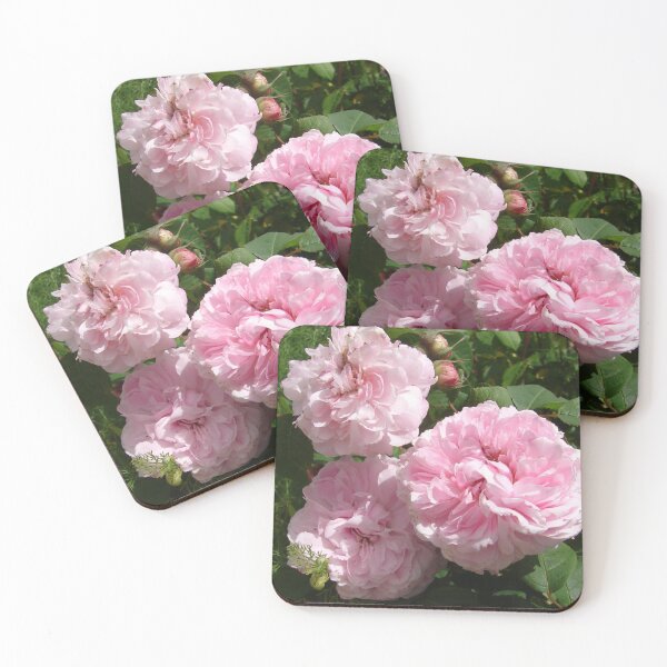Item preview, Rose Flower Blush Pink designed and sold by Sarah  Rajkotwala.