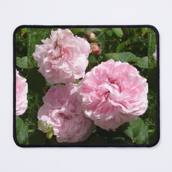 Item preview, Rose Flower Blush Pink designed and sold by Sarah Rajkotwala.