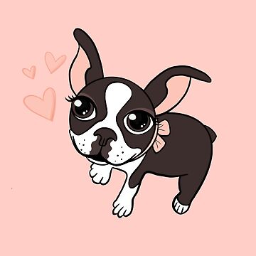 Aperçu de l'œuvre Joli bébé Boston Terrier de emiliewhite