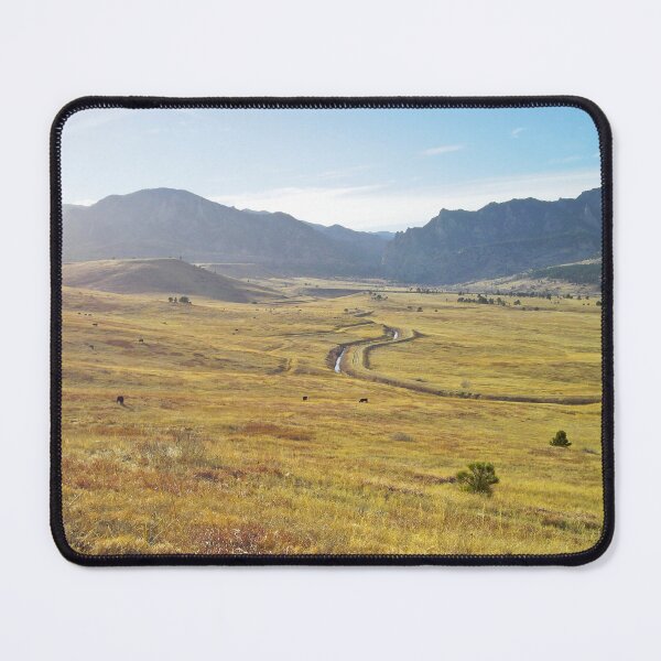 Item preview, RS1000 designed and sold by Nvision.