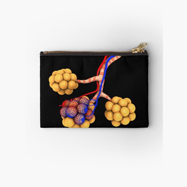 Item preview, STK700641H-Conceptual image of alveoli. designed and sold by StocktrekImages.