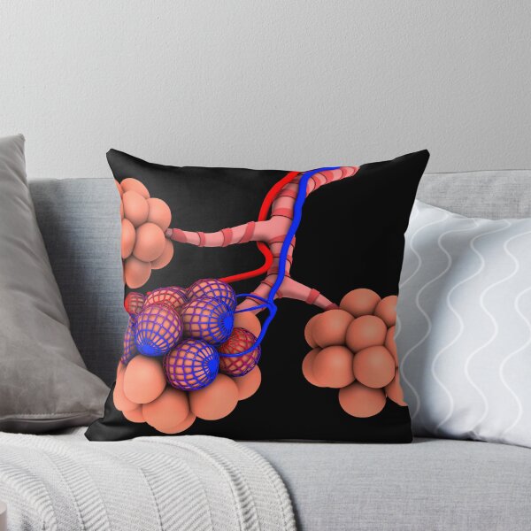 Item preview, STK700644H-Conceptual image of alveoli. designed and sold by StocktrekImages.