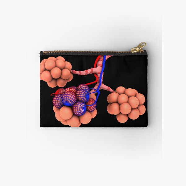 Item preview, STK700644H-Conceptual image of alveoli. designed and sold by StocktrekImages.