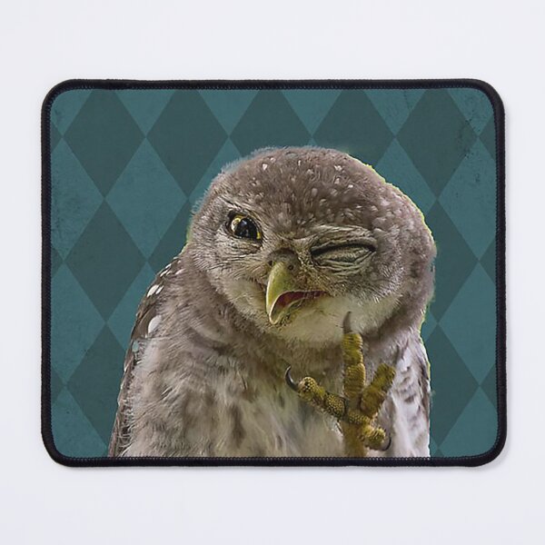 Item preview, Why hello sweet cheeks have a seat owl lover designed and sold by SaoirseNeid.