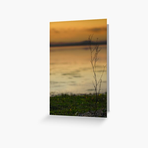 @ the waters edge Greeting Card