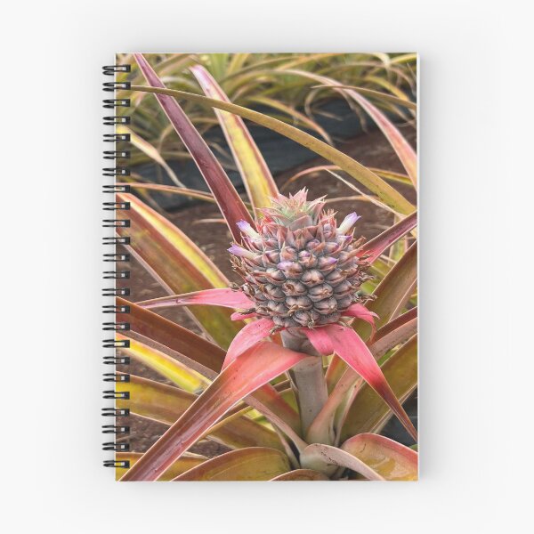 Item preview, Baby Hawaiian Pineapple: photographed while visiting pineapple farm in Hawaii, fruit, decor, accent piece, gift idea, home, office, work space designed and sold by Becky Hunter.
