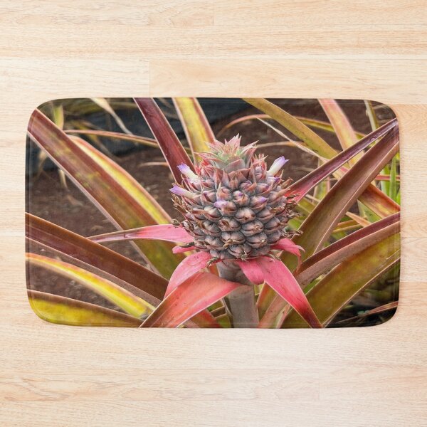 Item preview, Baby Hawaiian Pineapple: photographed while visiting pineapple farm in Hawaii, fruit, decor, accent piece, gift idea, home, office, work space designed and sold by Becky Hunter.