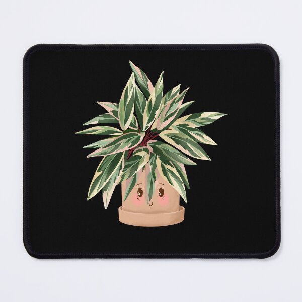 Item preview, Cute Plant Illustration, Calathea Triostar designed and sold by Ana Moguš.