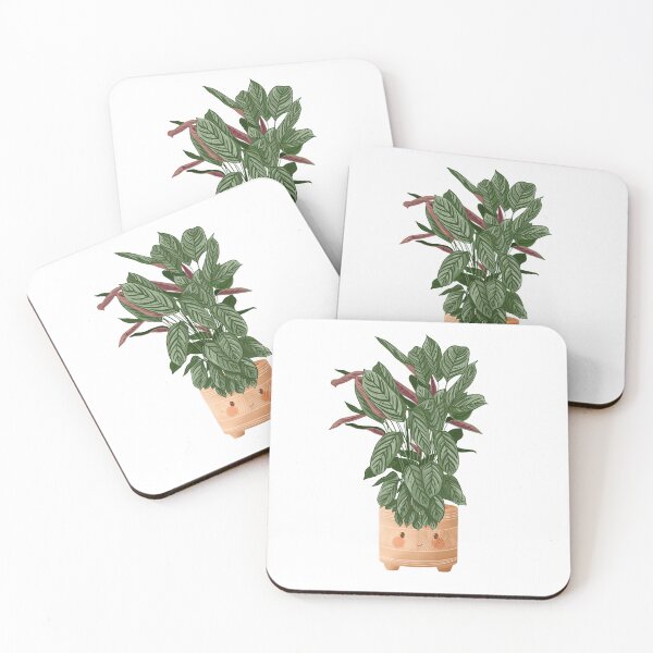 Item preview, Cute Plant Illustration, Calathea Makoyana Compact Star designed and sold by Ana Moguš.