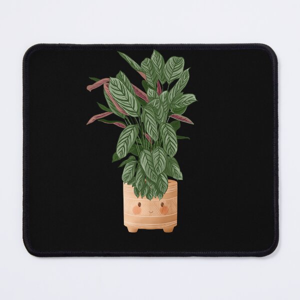 Item preview, Cute Plant Illustration, Calathea Makoyana Compact Star designed and sold by Ana Moguš.