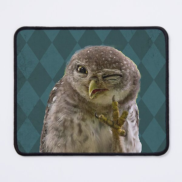 Item preview, Why hello sweet cheeks have a seat owl lover designed and sold by KravecUziel.