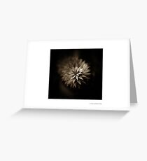 Monkey Puzzle Greeting Card