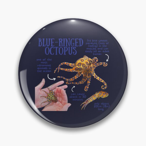 Item preview, Blue-Ringed Octopus Fun Facts designed and sold by KyleNesas.