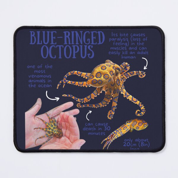 Item preview, Blue-Ringed Octopus Fun Facts designed and sold by KyleNesas.