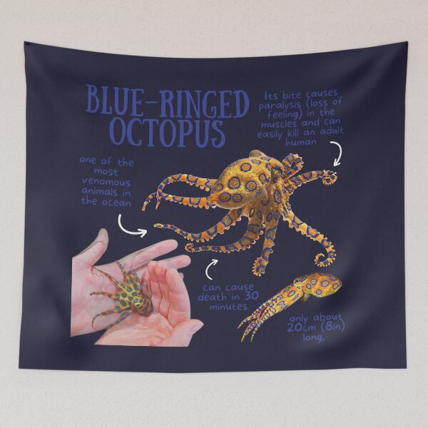 Item preview, Blue-Ringed Octopus Fun Facts designed and sold by KyleNesas.