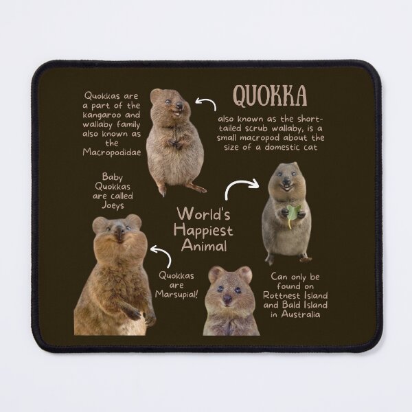 Item preview, Quokka Fun Facts designed and sold by KyleNesas.