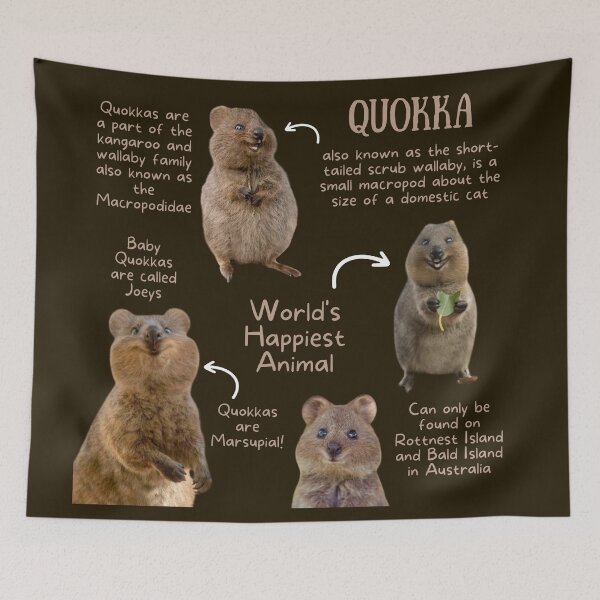 Item preview, Quokka Fun Facts designed and sold by KyleNesas.