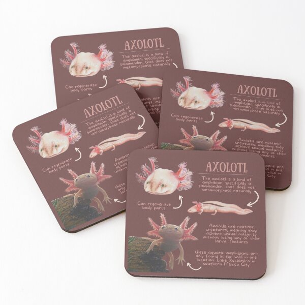 Item preview, Axolotl Fun Facts designed and sold by KyleNesas.