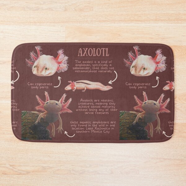 Item preview, Axolotl Fun Facts designed and sold by KyleNesas.