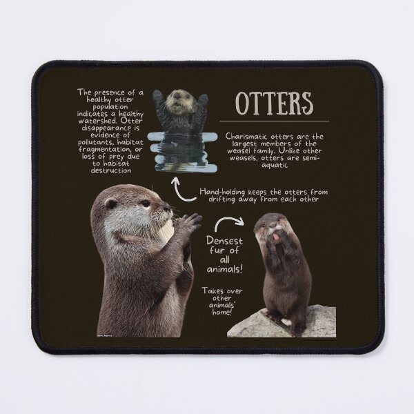 Item preview, Ottersl Fun Facts designed and sold by KyleNesas.