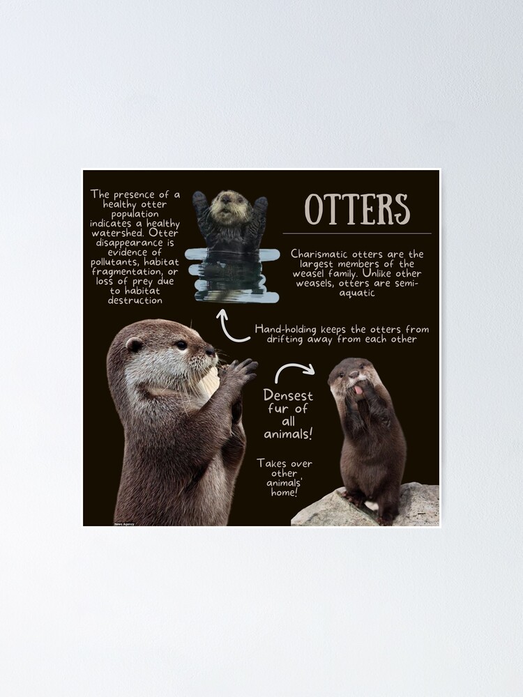 Earth Otters Jersey