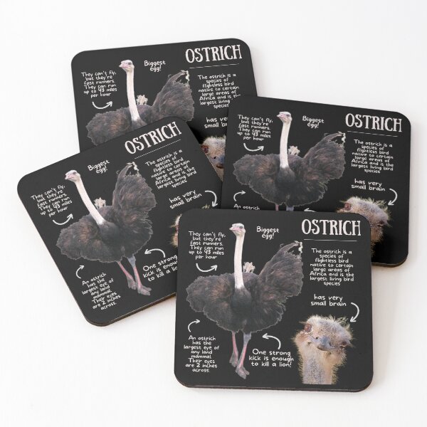 Item preview, Ostrich Fun Facts designed and sold by KyleNesas.