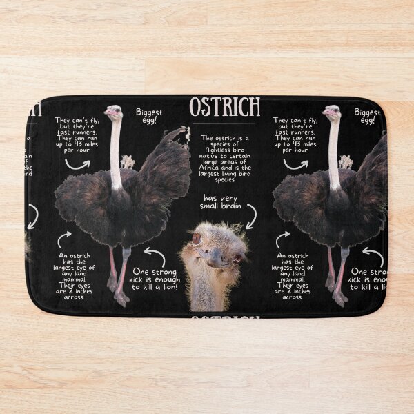 Item preview, Ostrich Fun Facts designed and sold by KyleNesas.