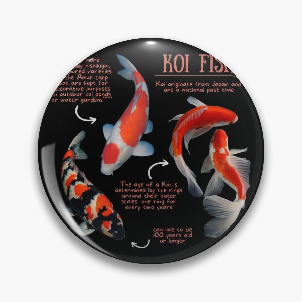Item preview, Koi Fish Fun Facts designed and sold by KyleNesas.