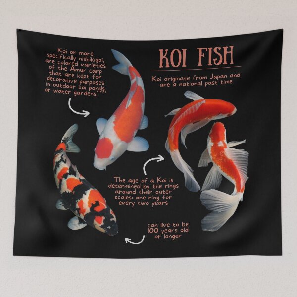 Item preview, Koi Fish Fun Facts designed and sold by KyleNesas.