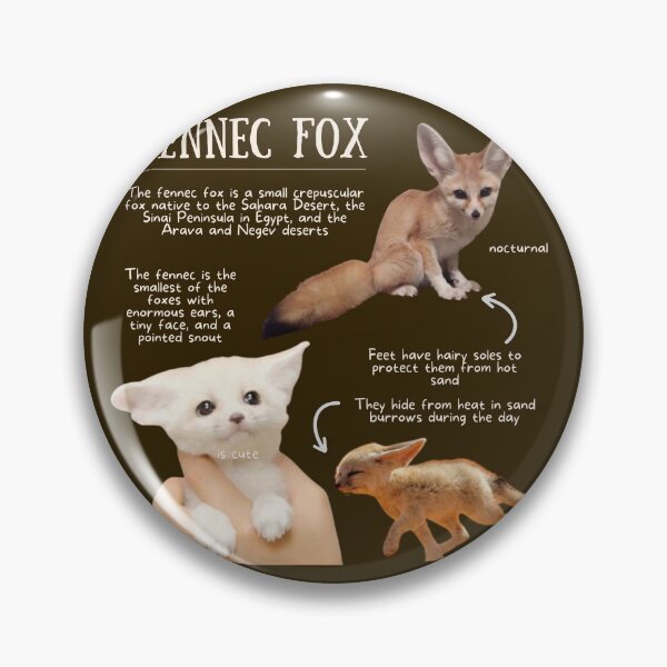 Item preview, Fennec Fox Fun Facts designed and sold by KyleNesas.