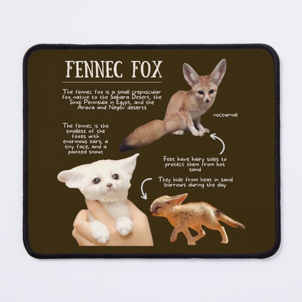 Item preview, Fennec Fox Fun Facts designed and sold by KyleNesas.