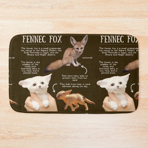 Item preview, Fennec Fox Fun Facts designed and sold by KyleNesas.