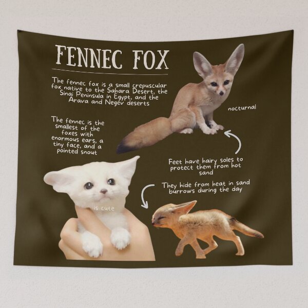 Item preview, Fennec Fox Fun Facts designed and sold by KyleNesas.