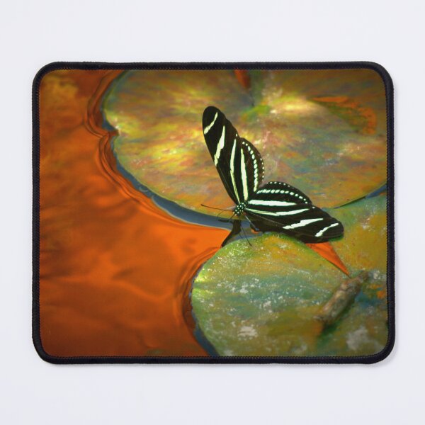 Item preview, Liquid Gold designed and sold by K D Graves Photography.