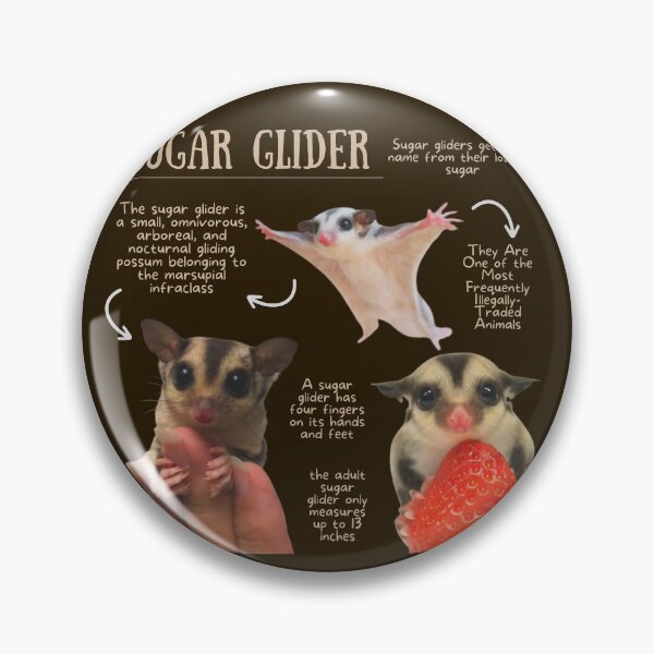 Item preview, Sugar Glider Fun Facts designed and sold by KyleNesas.