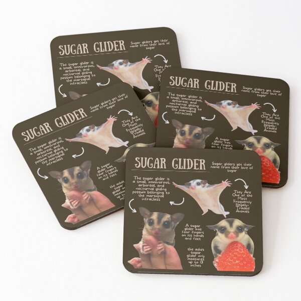 Item preview, Sugar Glider Fun Facts designed and sold by KyleNesas.