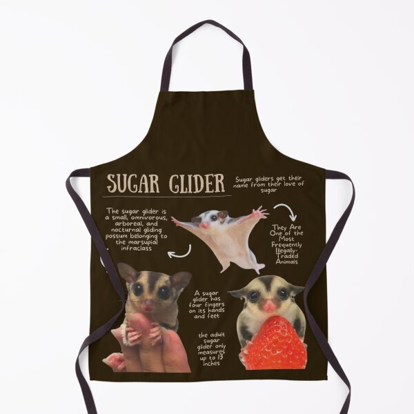 Item preview, Sugar Glider Fun Facts designed and sold by KyleNesas.