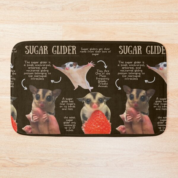 Item preview, Sugar Glider Fun Facts designed and sold by KyleNesas.