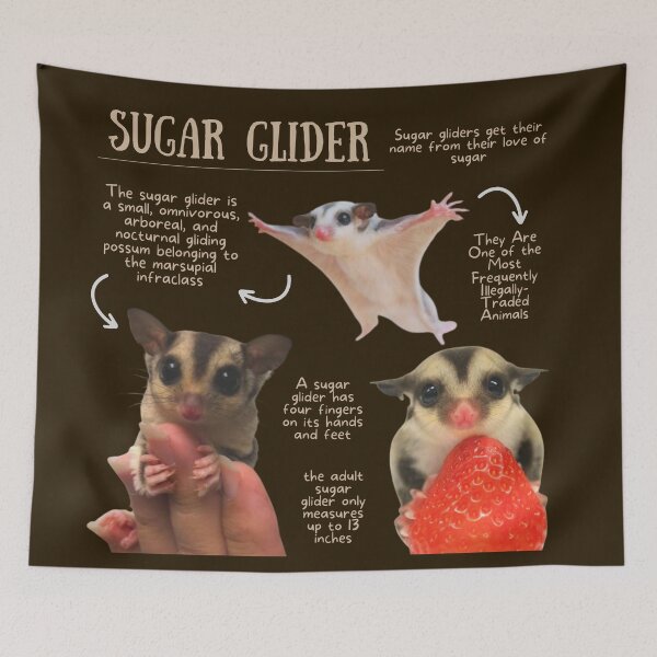 Item preview, Sugar Glider Fun Facts designed and sold by KyleNesas.