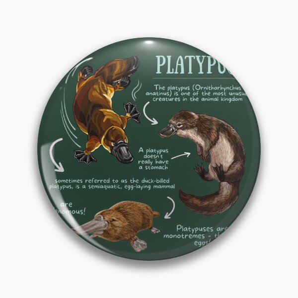 Item preview, Platypus Fun Facts designed and sold by KyleNesas.